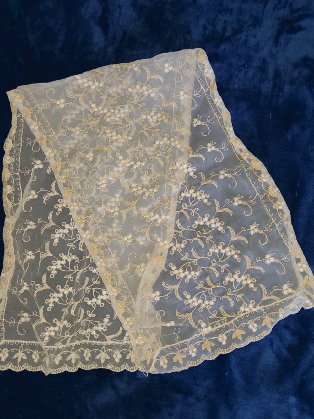 Antique French Net Lace Runner - Hand-Embroidered Floral Vine & Scalloped Edge